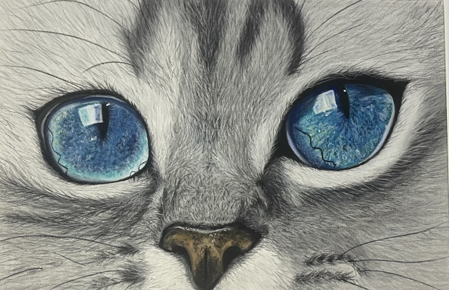 " Chaton aux yeux bleus " pastel A4