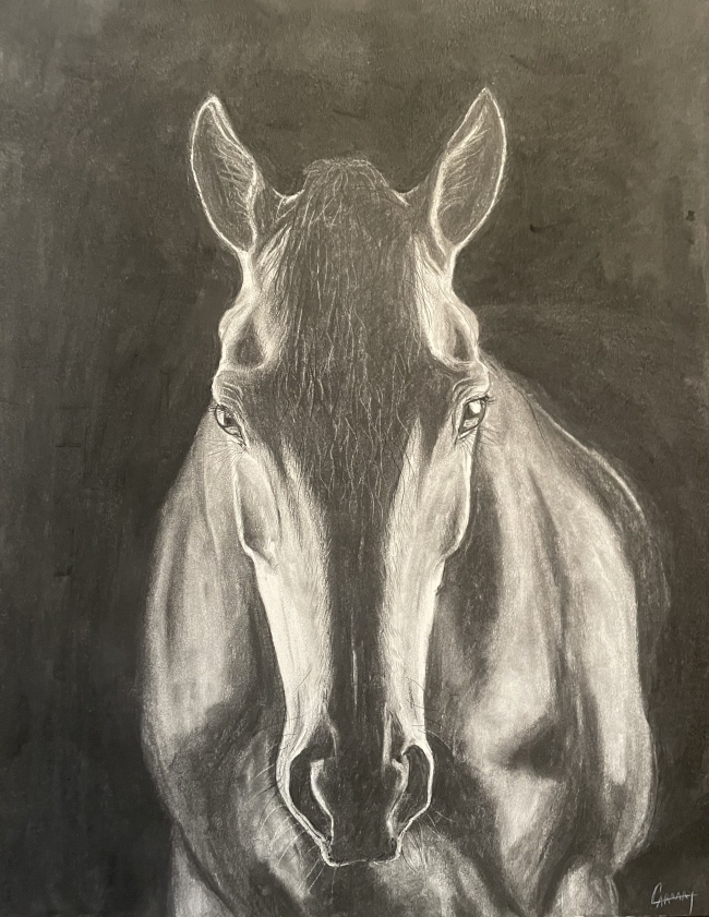 " Belle " fusain grand format