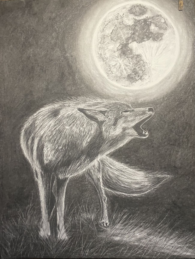 " Un hurlement dans la nuit " fusain grand format