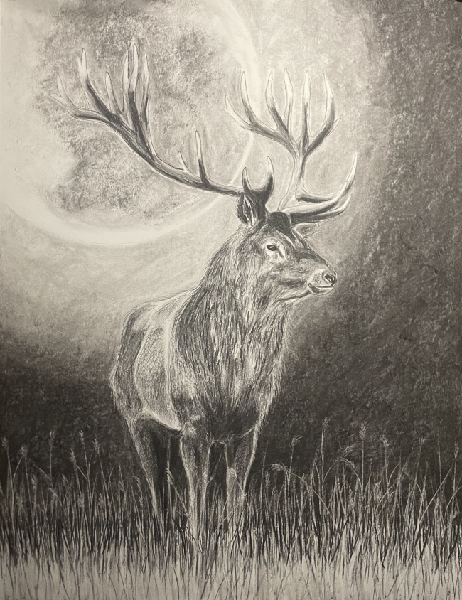 " Le roi de la forêt " fusain grand format