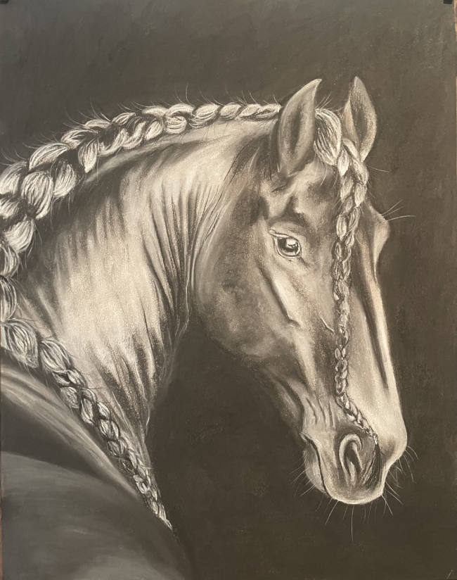 " L'étalon noir " pastel grand format