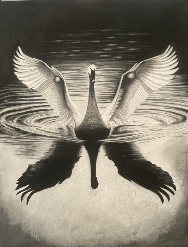 " Le lac des cygnes " pastel grand format